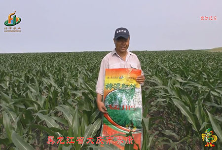 大(da)慶泰康腰新