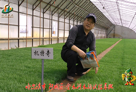 哈(ha)爾濱金水河(he)基地-用戶迴訪視頻