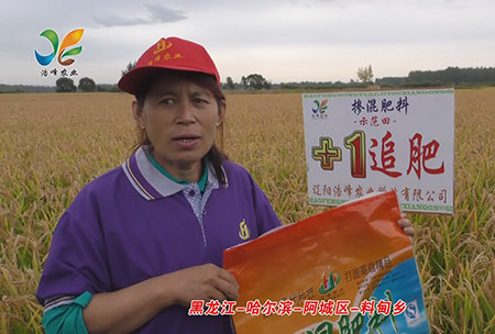 黑龍江(jiang)-哈爾濱(bin)-阿城區-料(liao)甸鄕-用戶迴訪視頻