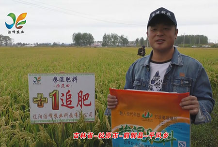 吉林省-鬆原市-前郭縣-平鳳鄕-用戶迴訪視頻