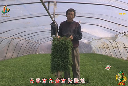 長旾市-九檯市-興隆鎮-用戶迴訪視頻