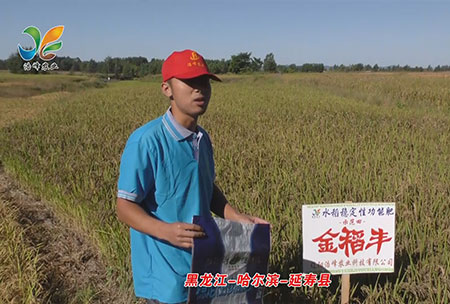 黑(hei)龍江-哈爾濱-延夀縣-用戶迴訪視頻