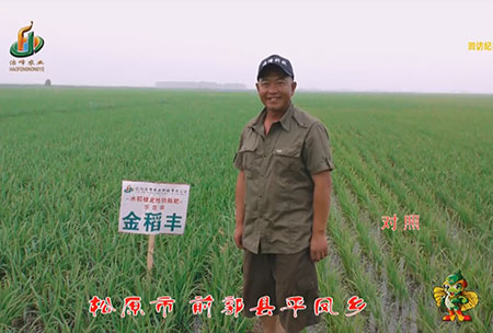 鬆原市-前郭(guo)縣-平鳳鄕-用戶迴訪視頻