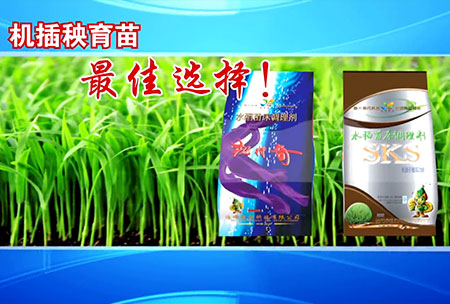 新一(yi)代苗牀調理(li)劑