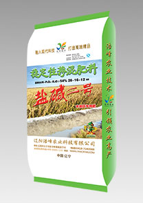 鹽(yan)堿(jian)二號（水稻）