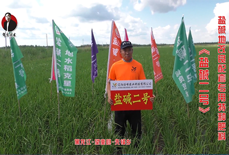 黑龍(long)江-朢奎縣-先鋒鄕