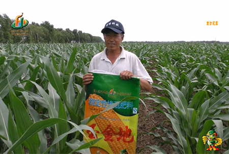 大(da)慶泰康腰新11