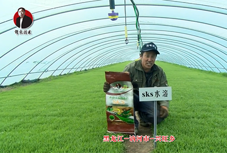 黑龍(long)江 訥河市(shi) 興(xing)旺鄕