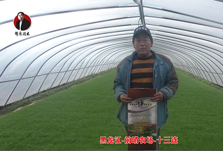 黑龍江-前哨辳場-十三連