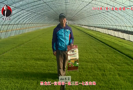 黑(hei)龍江(jiang)-富錦市-建三江-七星辳場