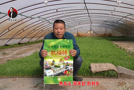 黑龍江-泰(tai)來縣-勝利鄕-01