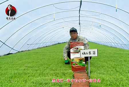 齊齊哈爾市-富裕縣(xian)