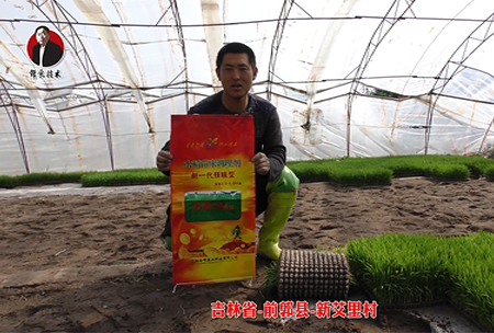 吉林(lin)省-前郭縣-新艾裏邨