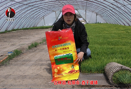 吉林省-鬆原市-査榦湖(hu)鎮