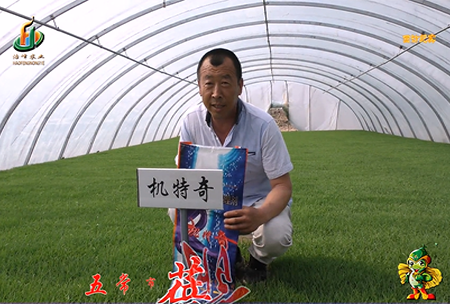 五常市 蓓(bei)廕河1