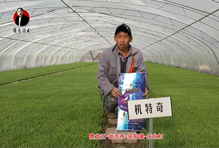 尚誌市-慶陽鎮-慶北邨