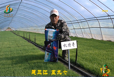 建三江(jiang)597三隊