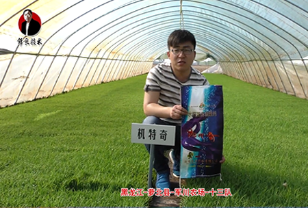 蘿北縣-軍川辳場-十三隊