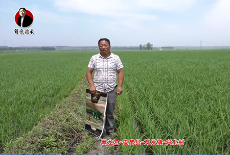 巴彥縣(xian)-萬(wan)髮鎮-興北邨(cun)