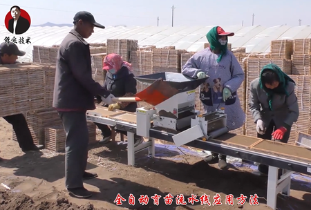 《錦良技術》水溶(rong)壯秧劑-流水線應用